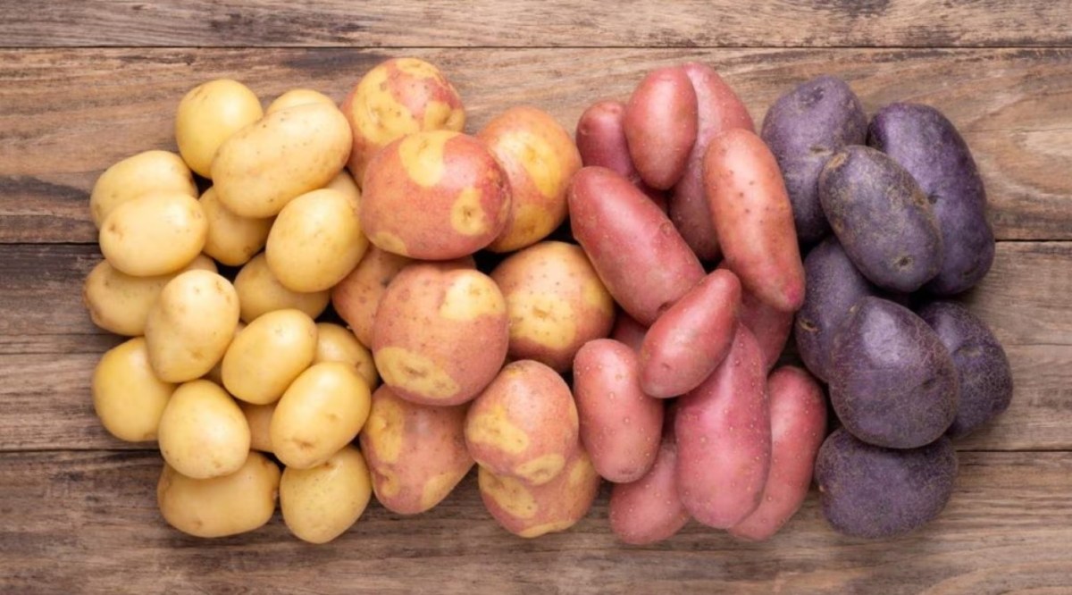 Patate, contorno e non solo: come riconoscere e cucinare tutte le varietà